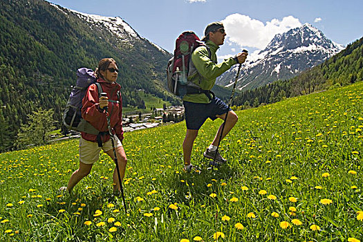 两个人,远足,草地,法国阿尔卑斯山,靠近
