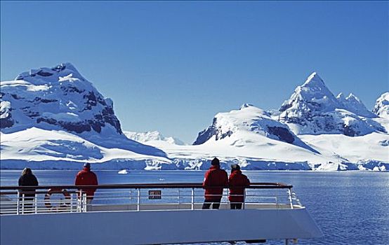 南极,乘客,发现,陆地,半岛