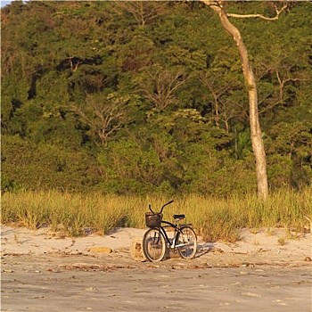 自行车,海滩,哥斯达黎加