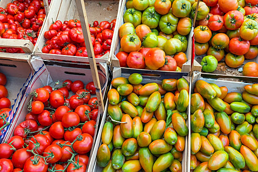 西红柿,市场,巴勒莫,西西里