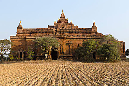 一个,庙宇,蒲甘,缅甸,亚洲