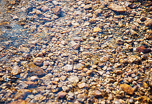 清澈溪水中的石子