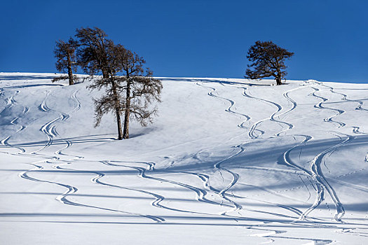 新疆禾木村雪景风光