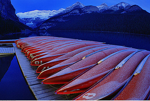 霜,独木舟,黎明,路易斯湖,班芙国家公园,艾伯塔省,加拿大