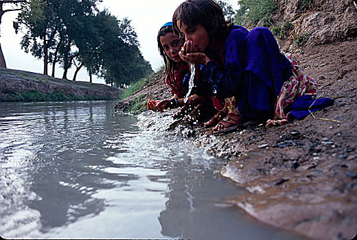 女孩,喝,水,运河,流动,难民,道路,白沙瓦,人口稠密,区域,污染,人,动物,缺乏,卫生