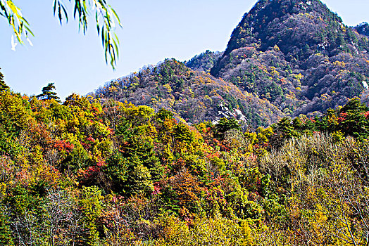 秦岭秋色