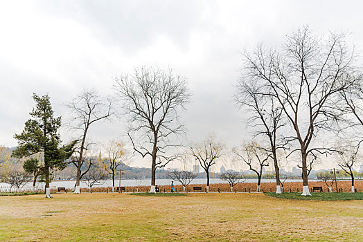 杭州西湖孤山公园冬景