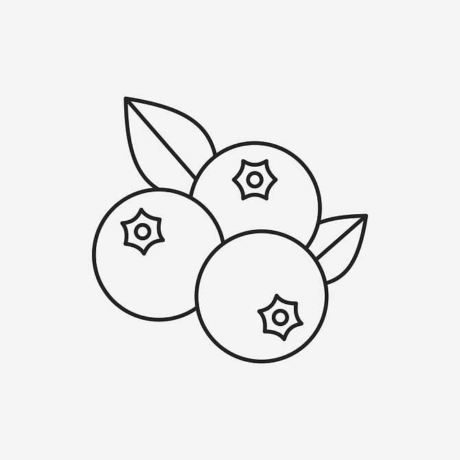 蓝莓图片_蓝莓高清图片_全景视觉