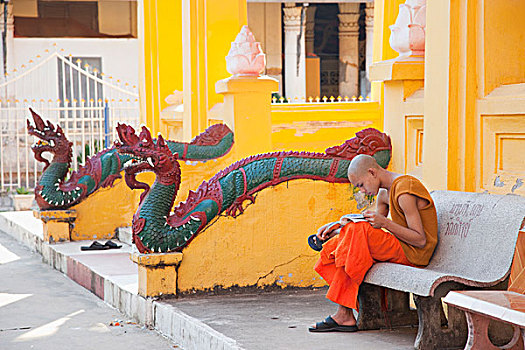 老挝,万象,寺院,僧侣,坐,户外,崇拜