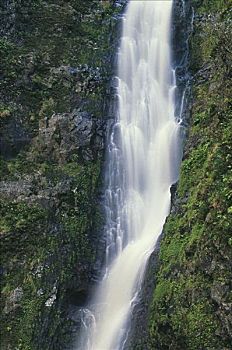 夏威夷,莫洛凯岛,瀑布,层叠,茂密,山坡