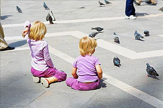 后视图,两个女孩,看,鸽子,威尼斯,威尼托,意大利