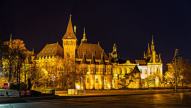 城堡,城市,树林,布达佩斯,匈牙利,欧洲