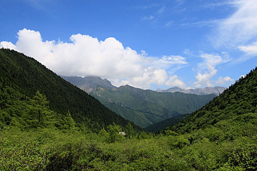 四川,阿坝藏族羌族自治州,松潘县,黄龙风景区