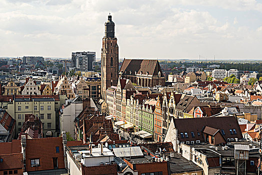 波兰,弗罗茨瓦夫,老城,风景,教堂,啃,市场