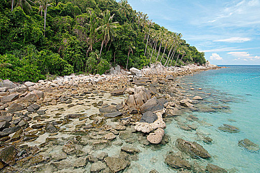 岩石,海滩,岛屿,马来西亚,亚洲