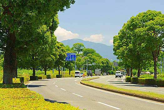 熊本,道路,路线,航空公司