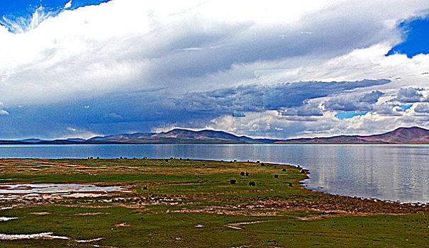 西藏风光高原湖泊
