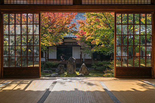 日本京都建仁寺日式寺庙建筑与秋季日式庭院景观