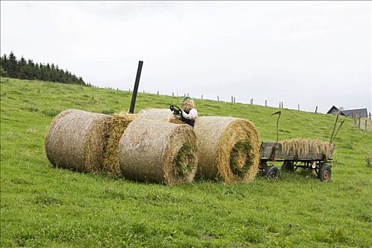 拖拉机,稻草,靠近,藻厄兰,北莱茵威斯特伐利亚,德国,欧洲