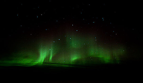 北极光,极光,绿色,螺旋,靠近,怀特霍斯,育空地区,加拿大