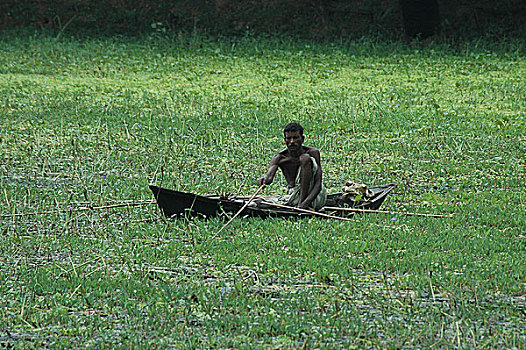 渔民,钓鱼,船,孟加拉,八月,2005年