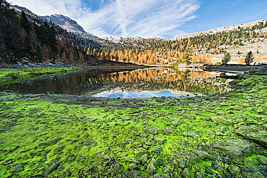 绿色,湖,白云岩,秋天,山谷,特兰迪诺,意大利