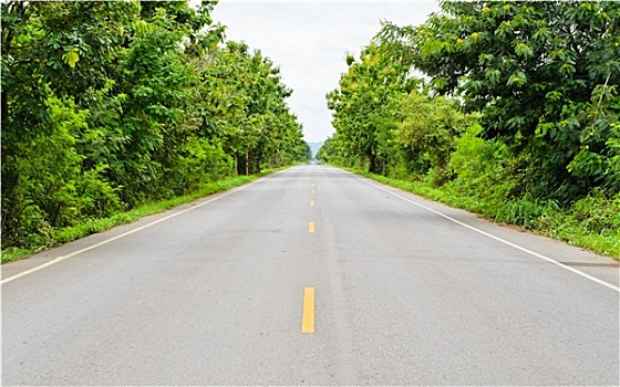 乡村,道路