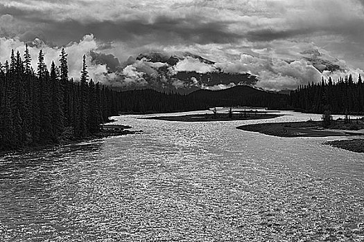 河,流动,树林,阿萨巴斯卡河,碧玉国家公园,艾伯塔省,加拿大