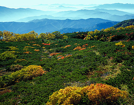 秋天,高地,山峦