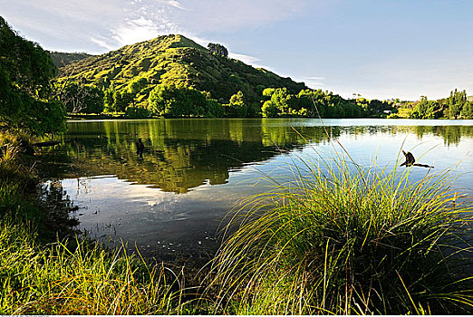 湖,霍克斯湾,新西兰