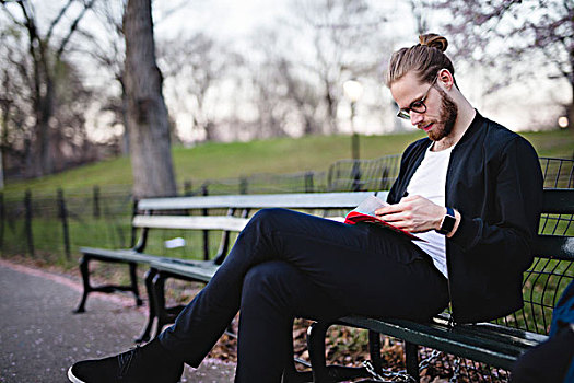 男人,读,长椅,公园