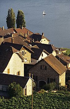 酒村,日内瓦湖,沃州,瑞士