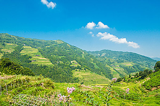 山岭风光