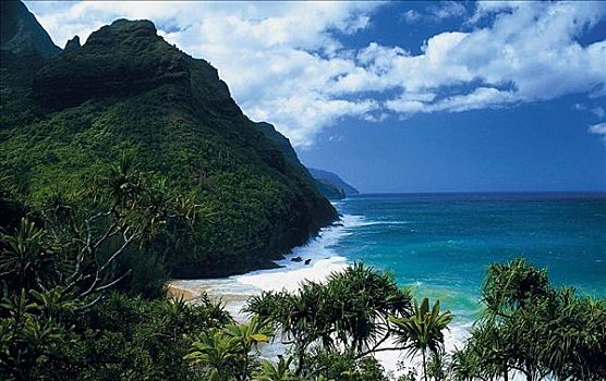 海滩,海洋,雨林,纳帕利海岸,考艾岛,夏威夷,美国,北美