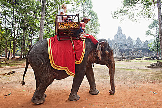 柬埔寨,收获,吴哥窟,巴扬寺,游客,大象