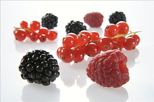 黑莓,树莓,红醋栗
