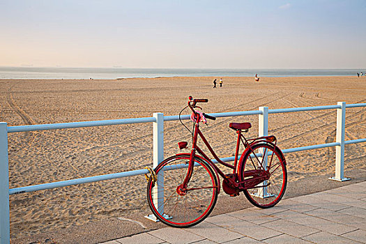 自行车,沙滩,海牙,荷兰,欧洲