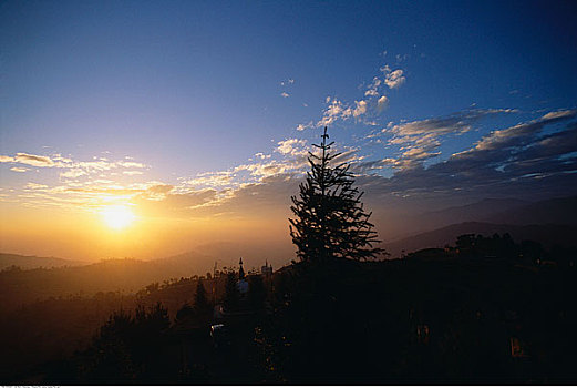 日落,上方,树林,纳加阔特,尼泊尔