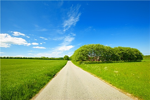 道路,乡村