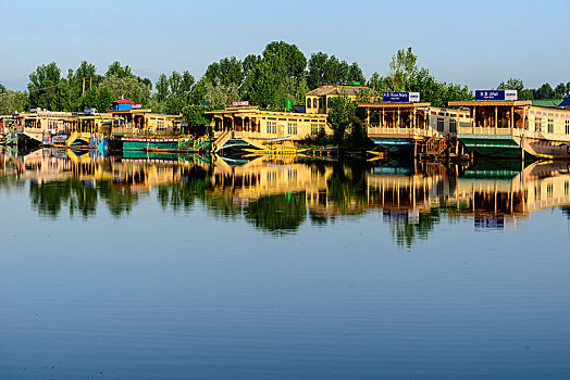 船屋,湖,反射,斯利那加,查谟-克什米尔邦,印度,亚洲