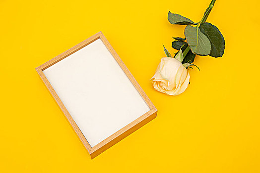 原木色相框和黄色玫瑰在黄色背景纸上