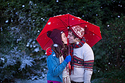 微笑,伴侣,伞,雪中