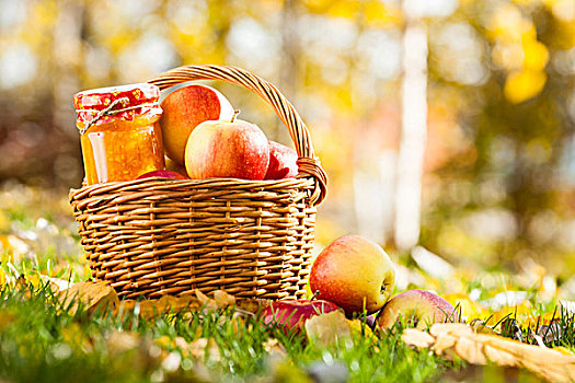 果酱,罐,篮子,满,新鲜,红苹果,草,秋天,丰收,概念