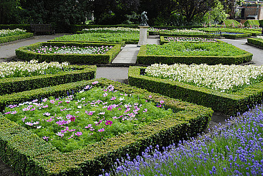 英格兰,伦敦,肯辛顿,风景,正规花园,荷兰,公园