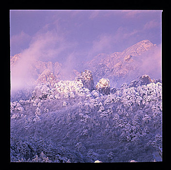 安徽,黄山,雪景,雾淞,云海,寒冷,冬季,阳光