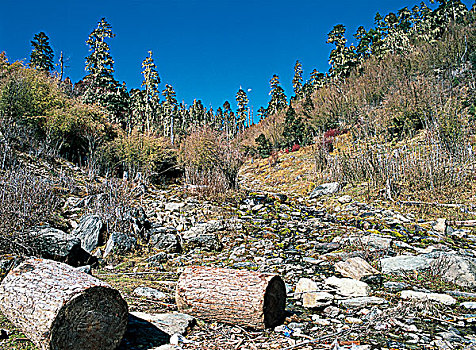 云南香格里拉千湖山