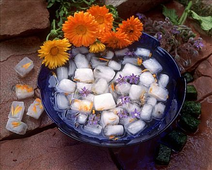 冰块,食用花卉,药草,冰冻