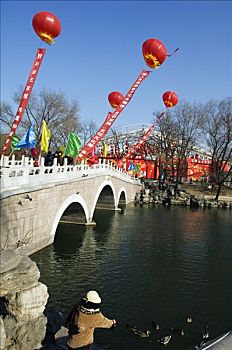 中国,北京,春节,女孩,喂食,湖,气球,装饰,桥,龙潭湖,公园