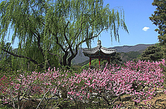 香山植物园