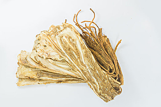 白色背景上的當歸